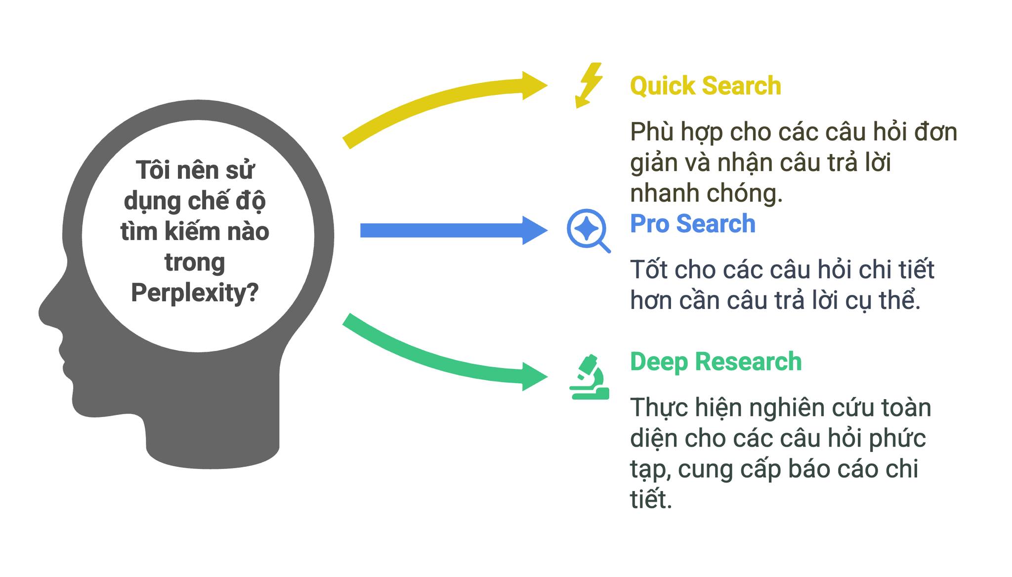 Perplexity AI Search Engine